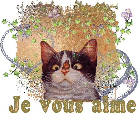 chat